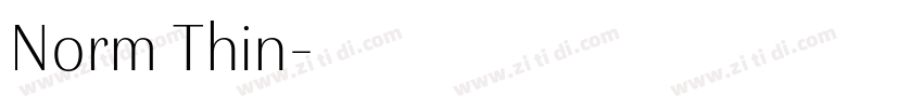 Norm Thin字体转换